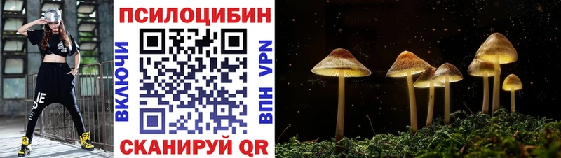 Галлюциногенные грибы мицелий  Новое Девяткино 